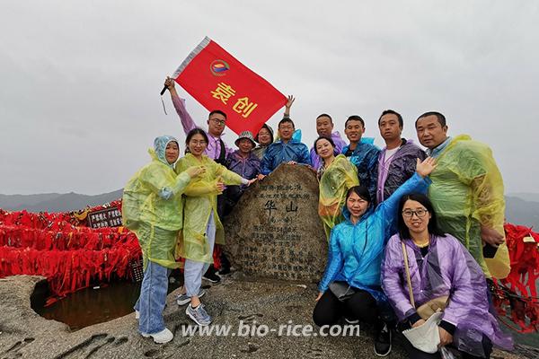 华山之巅—南峰顶